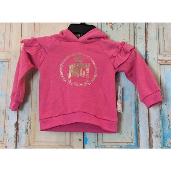 Juicy By Juicy Couture Girls Size 2T Pink Assorted Long Sleeve Pullover Hoodie - Picture 2 of 10